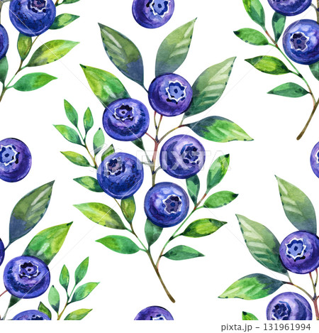 Blueberry watercolor seamless pattern. Hand drawn illustration. 131961994