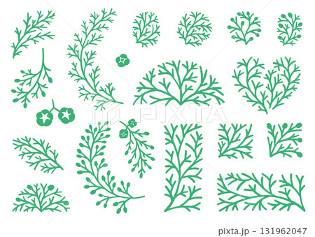 Cypress Twig and Branches Set. Botanical Hand Drawn. Set of Holiday Decor, Linocut Clipart in a vector illustration 131962047