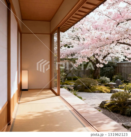 縁側から望む満開の桜と和風庭園 131962123