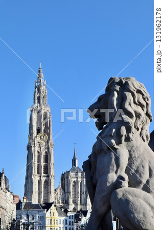 Lion statue in foreground looking at the Cathedral of Our Lady, a prominent Gothic landmark of Antwerp, Belgium 131962178