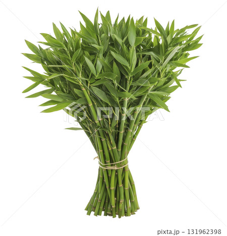 vibrant bundle of fresh green bamboo stalks tied together, showcasing lush leaves and natural texture, perfect for decoration or gardening inspiration vibrant bundle of fresh green bamboo stalks tied together, showcasing lush leaves and natural texture, perfect for decoration or gardening inspiration 131962398