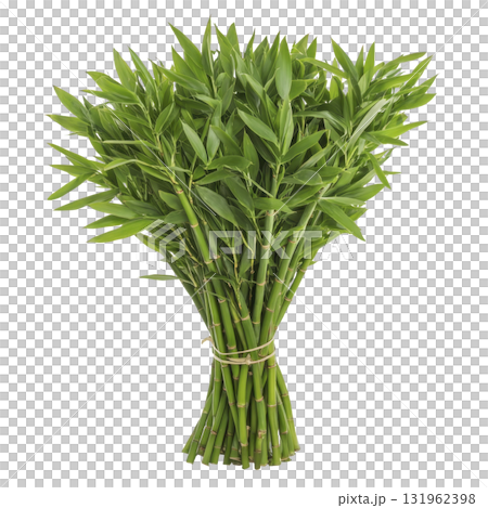 vibrant bundle of fresh green bamboo stalks tied together, showcasing lush leaves and natural texture, perfect for decoration or gardening inspiration vibrant bundle of fresh green bamboo stalks tied together, showcasing lush leaves and natural texture, perfect for decoration or gardening inspiration 131962398
