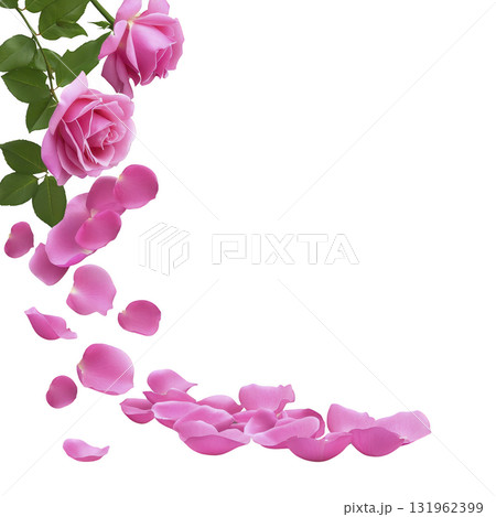 Pink roses and petals cascade gracefully against transparency background, creating romantic and elegant floral arrangement. vibrant pink hues and lush green leaves add touch of natural beauty 131962399