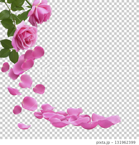 Pink roses and petals cascade gracefully against transparency background, creating romantic and elegant floral arrangement. vibrant pink hues and lush green leaves add touch of natural beauty 131962399