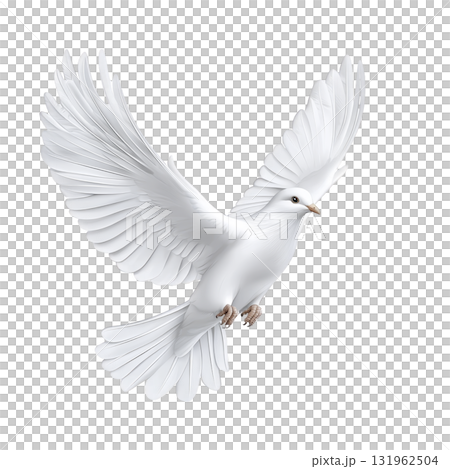 white dove gracefully soars with outstretched wings, symbolizing peace and freedom. bird elegant form and serene expression convey sense of tranquility and hope 131962504