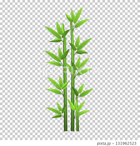 cluster of vibrant green bamboo stalks with lush leaves, symbolizing growth and tranquility. image captures natural beauty and elegance of bamboo plants 131962523