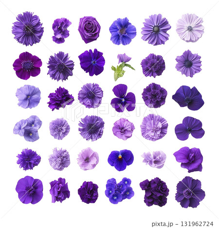 vibrant collection of various purple flowers arranged grid pattern, showcasing different shades and types. assortment includes roses, pansies, and other blossoms, highlighting beauty and diversity vibrant collection of various purple flowers arranged grid pattern, showcasing different shades and types. assortment includes roses, pansies, and other blossoms, highlighting beauty and diversity 131962724