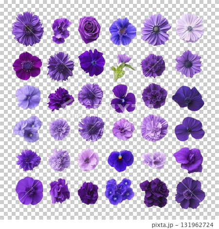 vibrant collection of various purple flowers arranged grid pattern, showcasing different shades and types. assortment includes roses, pansies, and other blossoms, highlighting beauty and diversity 131962724