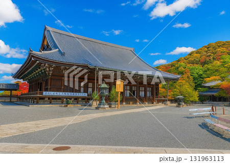 知恩院 紅葉 知恩院 紅葉 131963113