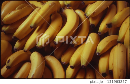 Fresh Yellow Bananas Piled Together in a Market During Daylight Hours Fresh Yellow Bananas Piled Together in a Market During Daylight Hours 131963257