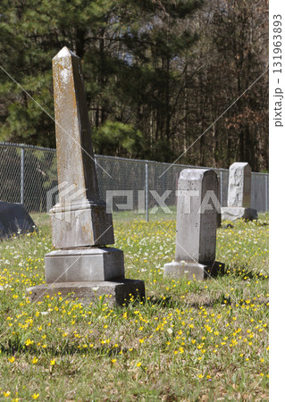 Historic Cemetery in Rural East TX. Knoxville near Troup TX 131963893