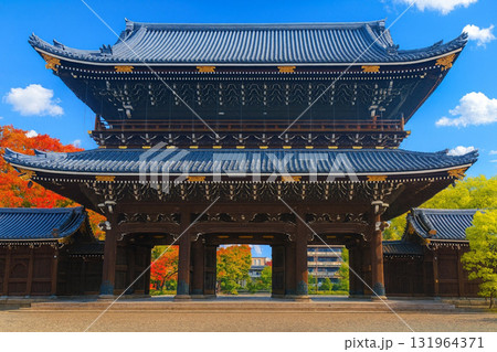 阿弥陀堂門　東本願寺　紅葉 131964371