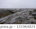 A rocky shore on a foggy day in the south of Iceland 131964824