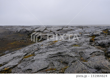 A rocky shore on a foggy day in the south of Iceland 131964824
