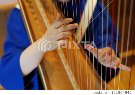 ハープを演奏する人 131964946