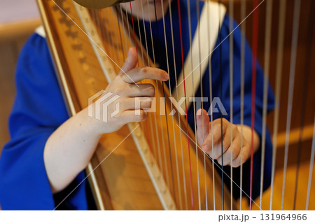 ハープを演奏する人 131964966