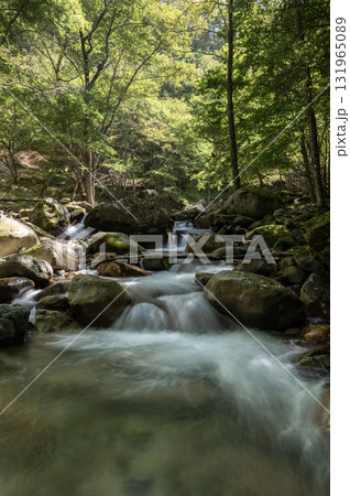 初秋の長野県川上村の梓川渓流 初秋の長野県川上村の梓川渓流 131965089