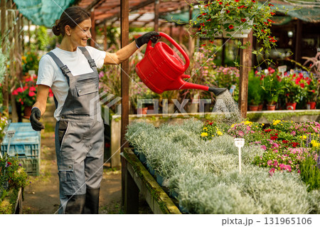 A Woman Happily Watering Beautiful Flowers in a Greenhouse Environment Filled with Life A Woman Happily Watering Beautiful Flowers in a Greenhouse Environment Filled with Life 131965106