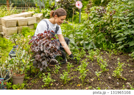 A woman is engaging in gardening activities in a vibrant and lush backyard garden space 131965108