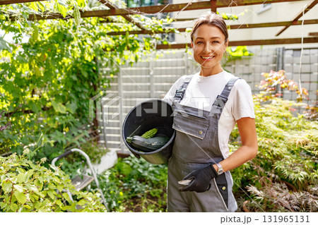 A Woman is Joyfully Harvesting Fresh Cucumbers in a Beautiful Lush Garden with Care A Woman is Joyfully Harvesting Fresh Cucumbers in a Beautiful Lush Garden with Care 131965131