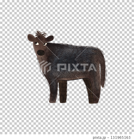 The Dexter is an Irish breed of small cattle. Cow or Bull. Character for packaging, children's book and encyclopedia. Isolated watercolor illustration in retro style. Clipart. 131965163