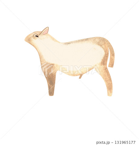 White Angus is the most popular beef cattle breed for beef steaks. Bull. Character for packaging, children's book and encyclopedia. Isolated watercolor illustration in retro style. Clipart. 131965177