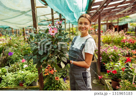 A Beautiful Gardener Holding a Vibrant Flower Inside a Lush Greenhouse Environment A Beautiful Gardener Holding a Vibrant Flower Inside a Lush Greenhouse Environment 131965183