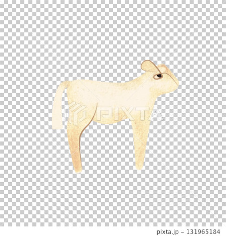 White Angus is the most popular beef cattle breed for beef steaks. Calf. Character for packaging, children's book and encyclopedia. Isolated watercolor illustration in retro style. Clipart. White Angus is the most popular beef cattle breed for beef steaks. Calf. Character for packaging, children's book and encyclopedia. Isolated watercolor illustration in retro style. Clipart. 131965184