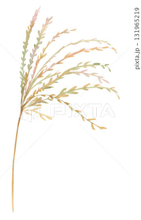 bush of grass painted with watercolor - an element for creating textile and postcard designs 131965219
