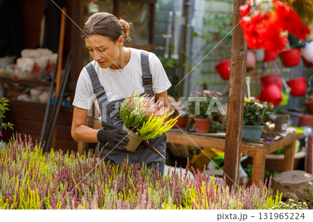 A woman is seen gardening and arranging colorful plants in a vibrant flower shop today A woman is seen gardening and arranging colorful plants in a vibrant flower shop today 131965224