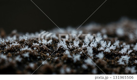 Macro view of delicate white frost crystals forming intricate patterns on a dark, textured surface, showcasing winter's cold beauty with shallow depth of field. Macro view of delicate white frost crystals forming intricate patterns on a dark, textured surface, showcasing winter's cold beauty with shallow depth of field. 131965506