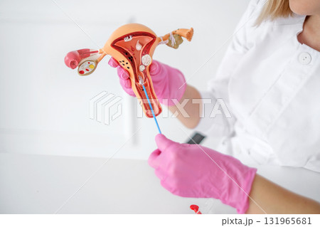 A model of the female reproductive organ. Taking a smear for analysis from the cervical canal. Diagnosis of diseases in gynecology A model of the female reproductive organ. Taking a smear for analysis from the cervical canal. Diagnosis of diseases in gynecology 131965681