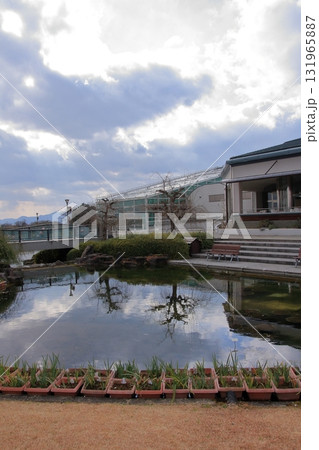 滋賀県草津市 草津市立水生植物公園 みずの森と樹冠トレイル 滋賀県草津市 草津市立水生植物公園 みずの森と樹冠トレイル 131965887
