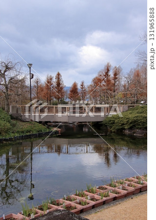 滋賀県草津市 草津市立水生植物公園 みずの森と樹冠トレイル 滋賀県草津市 草津市立水生植物公園 みずの森と樹冠トレイル 131965888