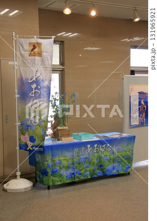 滋賀県草津市　草津市立水生植物公園 みずの森と樹冠トレイル 131965921