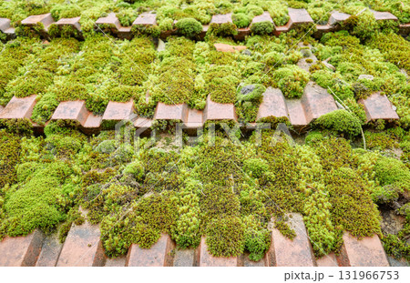 Old ceramic roof tiles covered with moss, selective focus. Old ceramic roof tiles covered with moss, selective focus. 131966753
