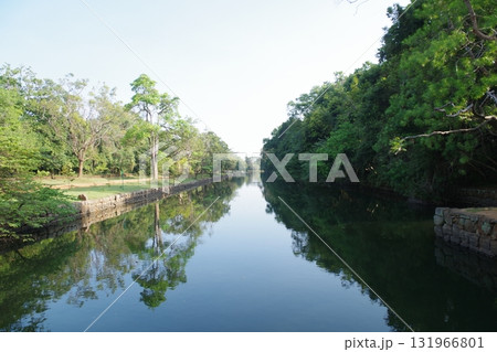 スリランカ　世界遺産　古都シーギリヤ 131966801