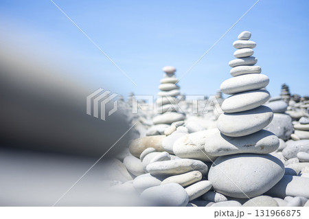 石のある風景　鳴り石の浜（琴浦町） 131966875