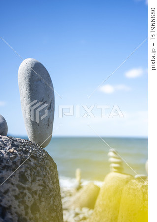 石のある風景　鳴り石の浜（琴浦町） 131966880