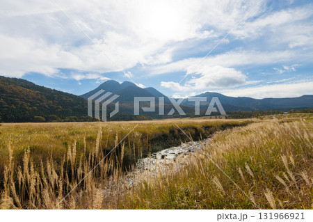 長者原の風景（大分県九重町） 131966921