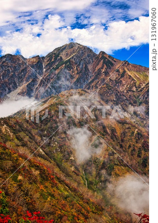 紅葉の北アルプスの五竜岳 131967060