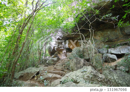 スリランカ　ピドゥランガラロック 131967098