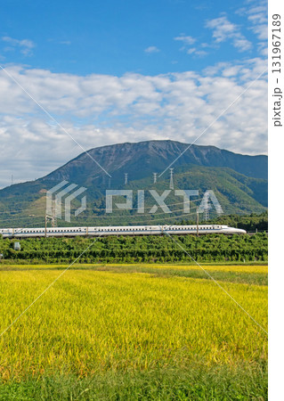 伊吹山の麓、田園地帯を走る東海道新幹線 N700S 131967189