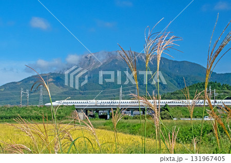 晴天の下、ススキ咲く伊吹山麓を走る東海道新幹線N700S 131967405