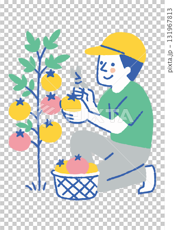 番茄田裡勞動的農民_顏色 131967813