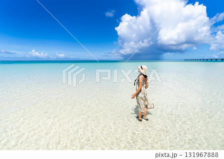 夏雲とエメラルドのビーチのリゾート 131967888