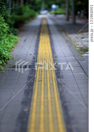 視覚障害者誘導用ブロックのある歩道　イメージ 131968001