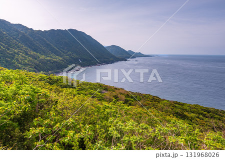 新緑と海 西部林道地域 世界自然遺産屋久島 新緑と海 西部林道地域 世界自然遺産屋久島 131968026