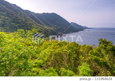 新緑と海 西部林道地域 世界自然遺産屋久島 新緑と海 西部林道地域 世界自然遺産屋久島 131968028