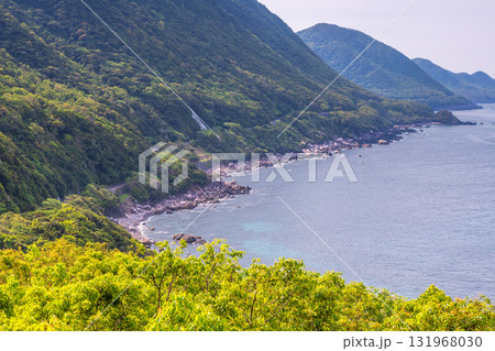 新緑と海　西部林道地域　世界自然遺産屋久島 131968030